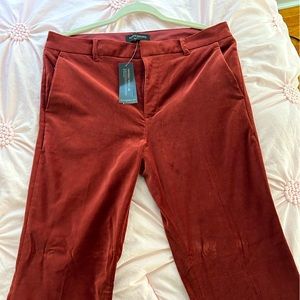 Banana republic bootcut velvet pants